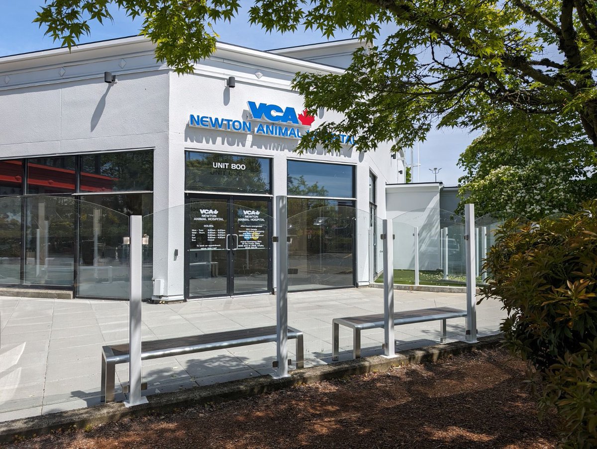 What’s up #SurreyBC #shoplocal @vcacanada Newton Animal Hospital. Fun Fact: they moved to the old Swiss Chalet restaurant on KGB. @Newton_BIA @SBofT @DiscoverSurrey