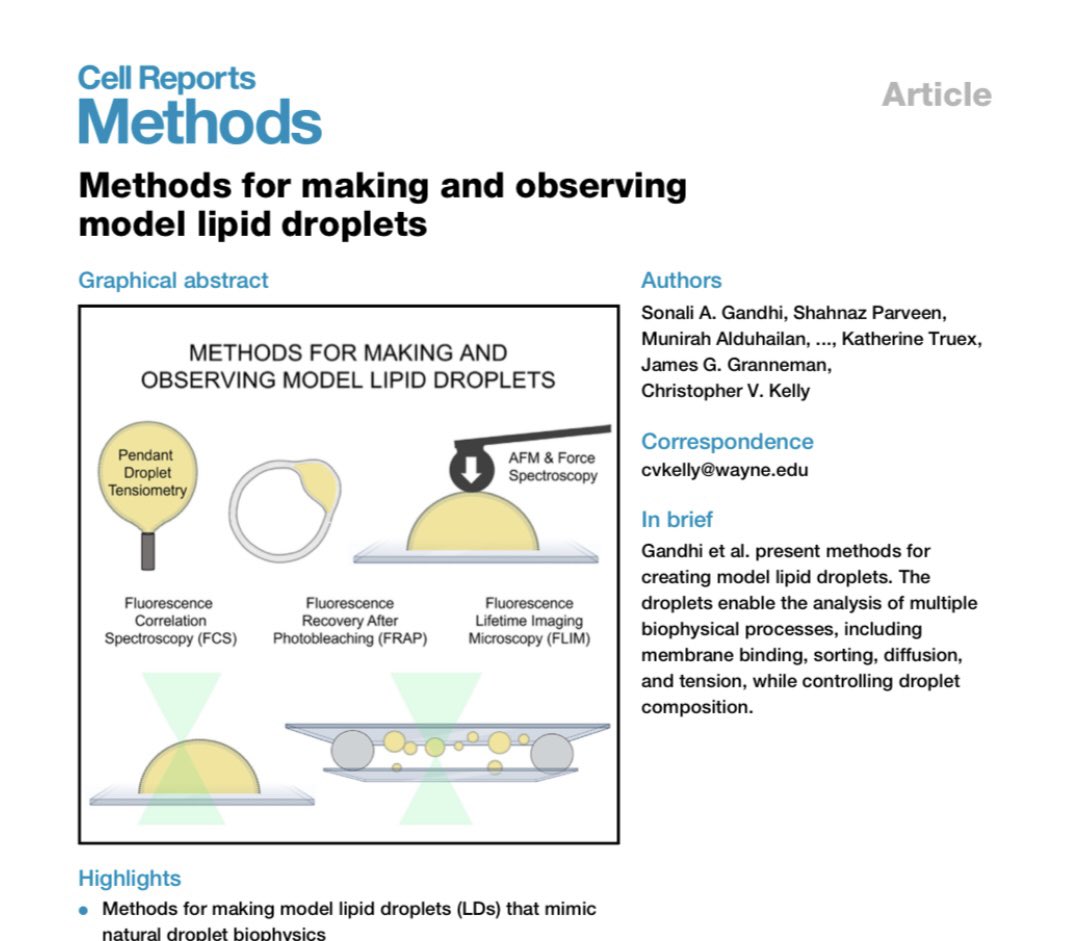 Shahnaz Parveen (@shahnaz_physics) on Twitter photo Excited to announce my first paper ‘ Methods for making and observing model lipid droplets’ is now published in <a href="/CellRepMethods/">Cell Reports Methods</a>!
Please have a read @ DOI doi.org/10.1016/j.crme… Excited to announce my first paper ‘ Methods for making and observing model lipid droplets’ is now published in <a href="/CellRepMethods/">Cell Reports Methods</a>!
Please have a read @ DOI doi.org/10.1016/j.crme…