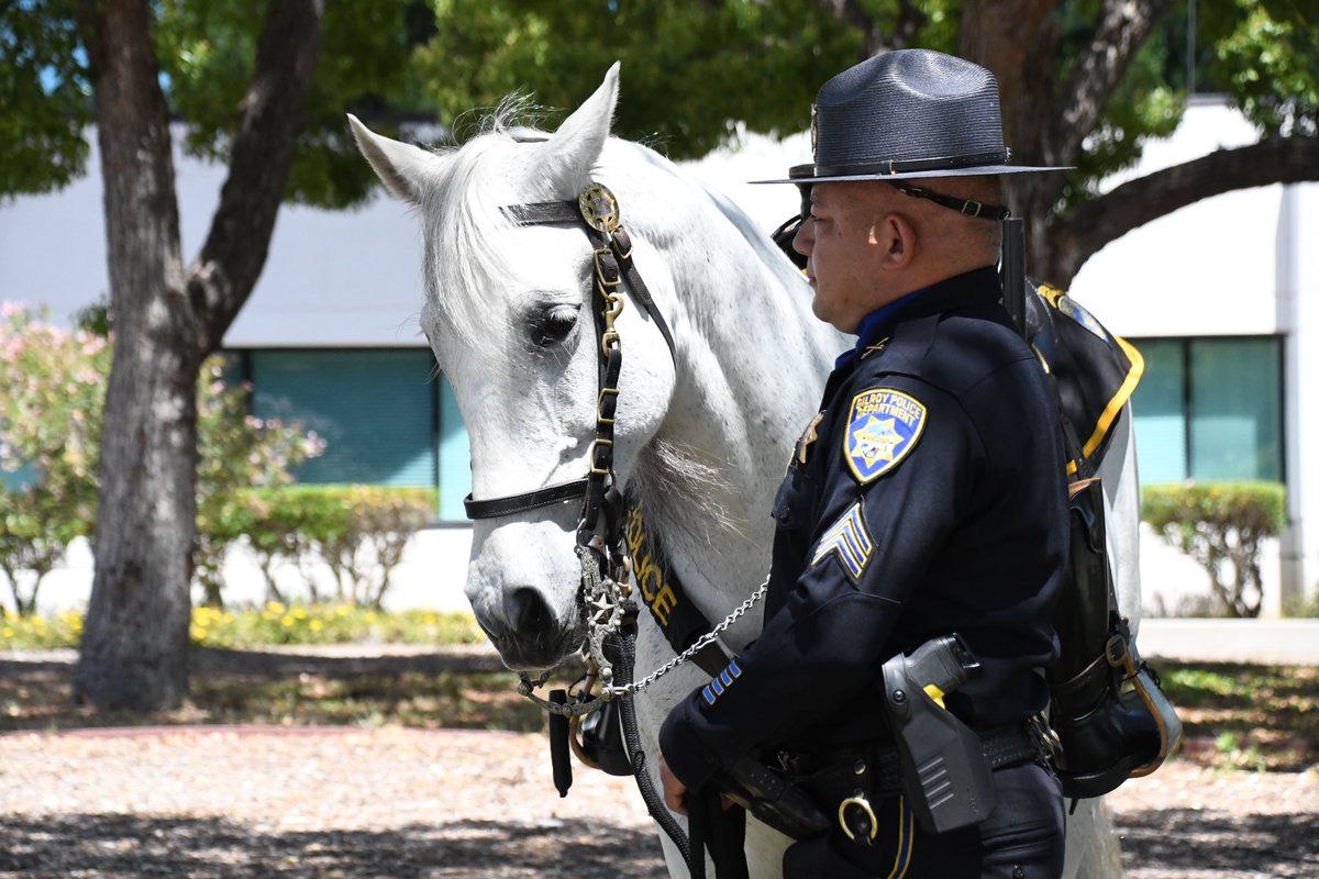 Today is National Peace Officers' Memorial Day. SJPD attended the Santa Clara County Sheriff's Peace Officers' Memorial to honor the fallen Officers who served Santa Clara County. We forever remember and recognize the ultimate sacrifice made by our thirteen SJPD fallen heroes.