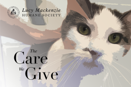 lucymackenziehs's tweet photo. Purchase your tickets now for Lucy Mackenzie Humane Society's Annual Benefit Gala &amp; Auction, May 31, 2024, at Billings Farm &amp; Museum in Woodstock, VT! Click here to purchase tickets, view live auction items &amp; menu, and more!
https://t.co/WWJE8iA3ah https://t.co/UE75G7OwXT
