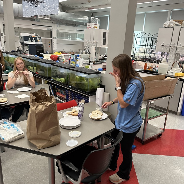 Post AP Chemistry Test class party. Thank you to all of my students who went above and beyond studying, and pushing themselves to the limit. You are an amazing group to work with, and I know you will all succeed in your future. Go get them!! 😎 And you never talked too much 🤣