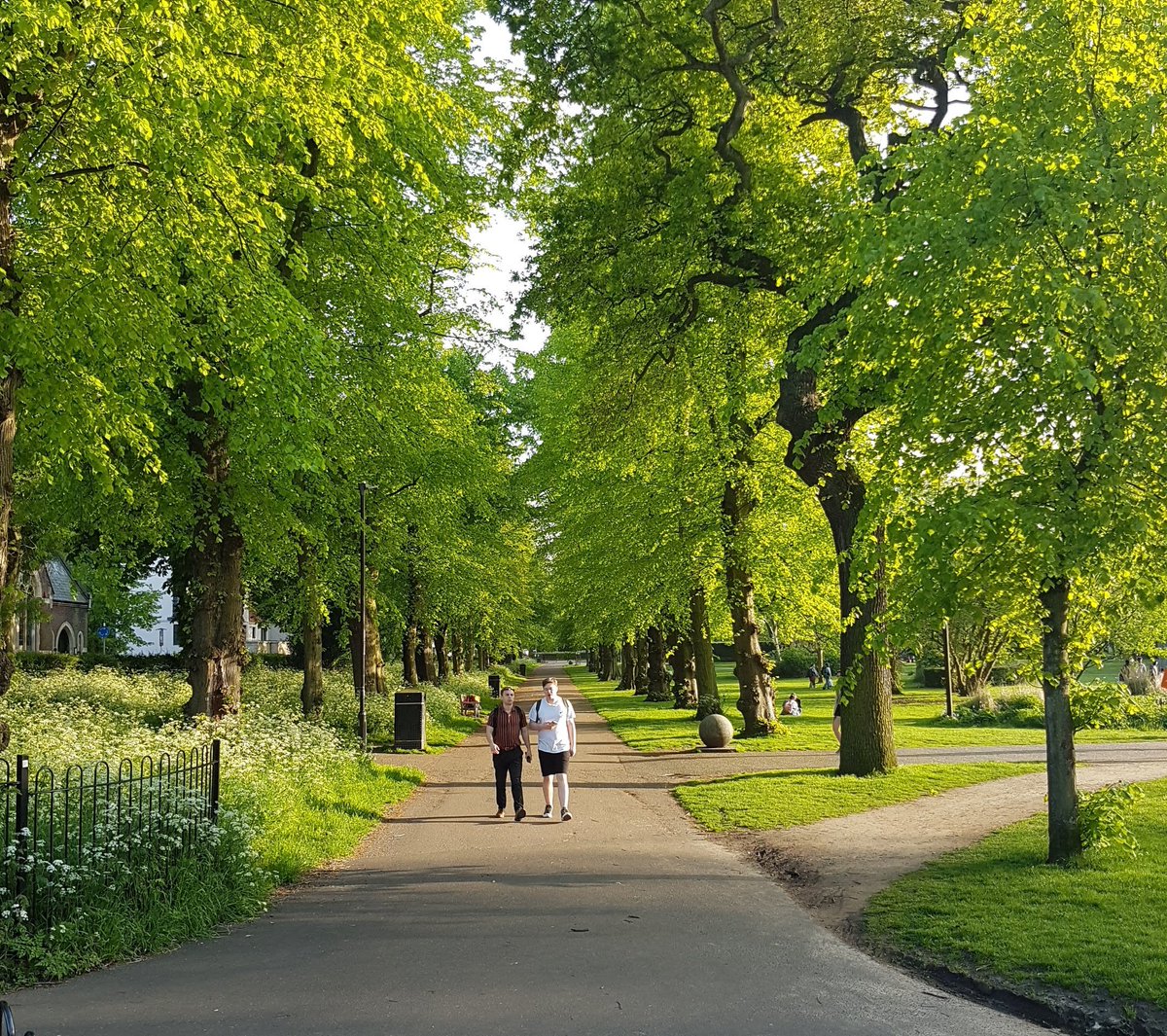 As it's National Walking Month, here are some things that make the #MagicOfWalking in Norwich: 
1) trees for shade
Alt: photo of Chapelfield Gardens looking down the avenue of lime trees, with two people walking towards the camera.