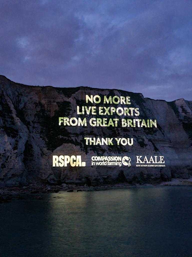 With @RSPCA_official & KAALE we've taken over The White Cliffs of Dover! Dover was the backdrop to so many live export shipments, now this is consigned to history.