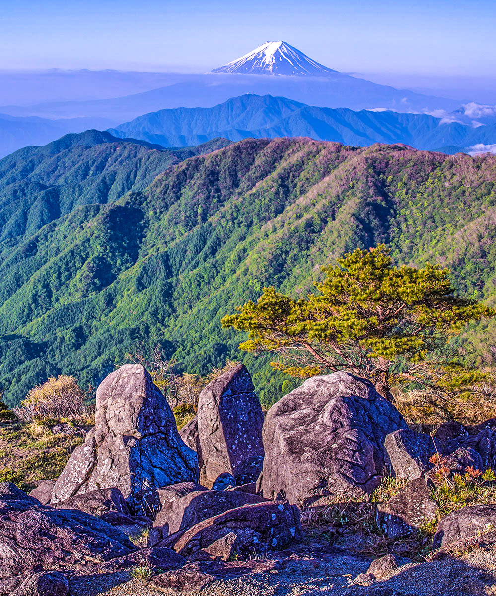 新緑の頃 白谷ヶ丸で以前撮影 #富士山　#新緑　#mtfuji