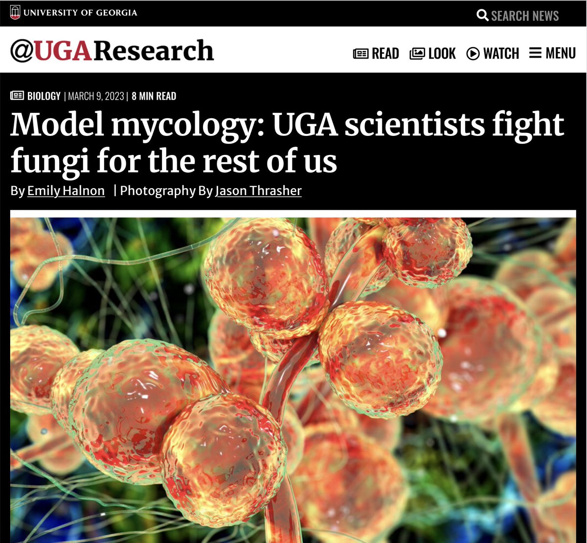 Georgia Research Alliance (@ga_res_alliance) on Twitter photo GRA Scholar @KarenNorris22 has gotten lots of press for her anti-fungal vax work. One reason: Popularity of <a href="/TheLastofUsHBO/">The Last of Us</a> on Max. Story on @UniversityofGa work: bit.ly/3WK5zqa GRA Scholar @KarenNorris22 has gotten lots of press for her anti-fungal vax work. One reason: Popularity of <a href="/TheLastofUsHBO/">The Last of Us</a> on Max. Story on @UniversityofGa work: bit.ly/3WK5zqa