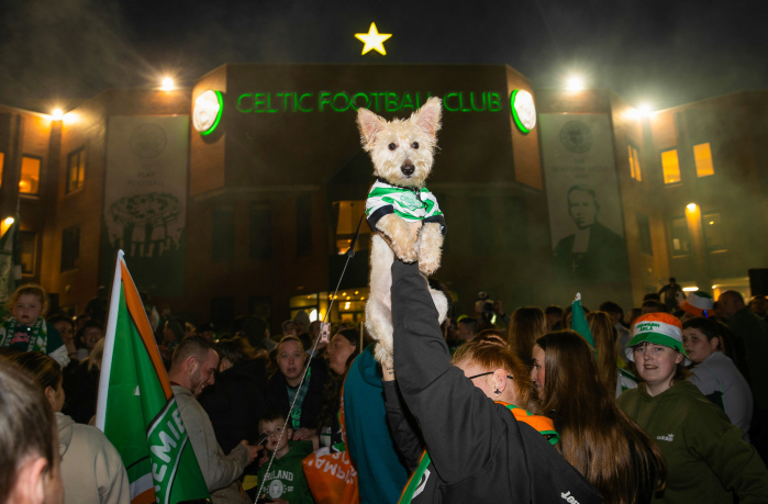 🐶 Auditioning for the role of Hoopy the Huddle Hound amid Celtic's title celebrations ⁉️ #CelticFC I #Champions I #SPFL