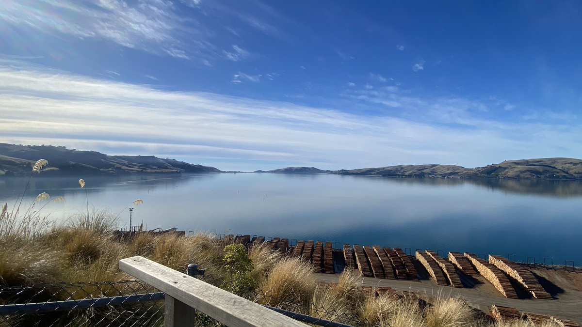 lolly9974's tweet photo. Yesterday I found a little bit of paradise cycling the Otago harbour loop in Dunedin New Zealand with a little detour out to the albatross centre at the end of the peninsular 
#Dunedin #paradise #cycling #peninsular #albatrosscentre https://t.co/Xz3EYSTpZ3