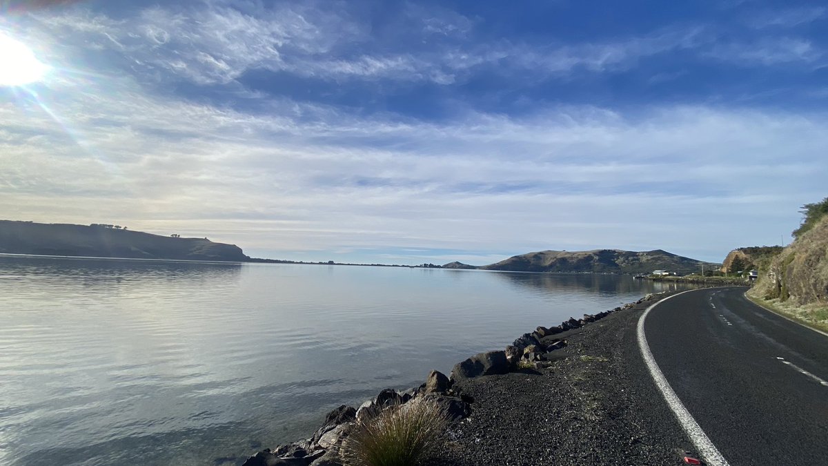 lolly9974's tweet photo. Yesterday I found a little bit of paradise cycling the Otago harbour loop in Dunedin New Zealand with a little detour out to the albatross centre at the end of the peninsular 
#Dunedin #paradise #cycling #peninsular #albatrosscentre https://t.co/Xz3EYSTpZ3