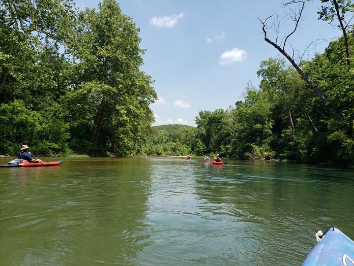 J1Midwest's tweet photo. What are you doing this #MemorialDay? MTJA's Barbara Gibbs Ostmann is out on a river in the Missouri Ozarks, one of her favorite topics to write about and photograph. Grab a paddle and join her. #VisitMo https://t.co/oHTVTktVbO