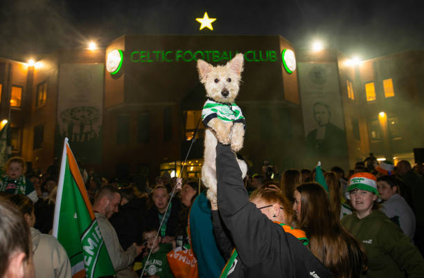 Celtic Curio tweet media
