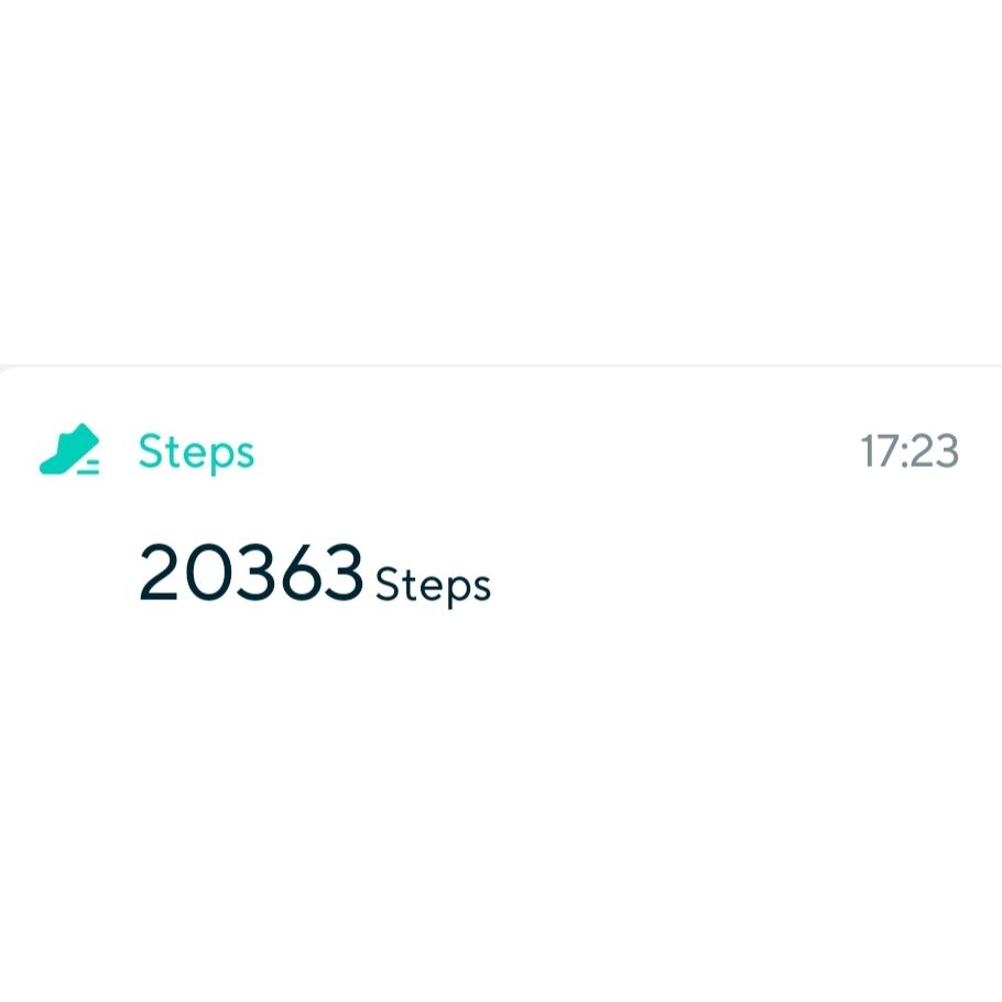 Did you get any steps in today?