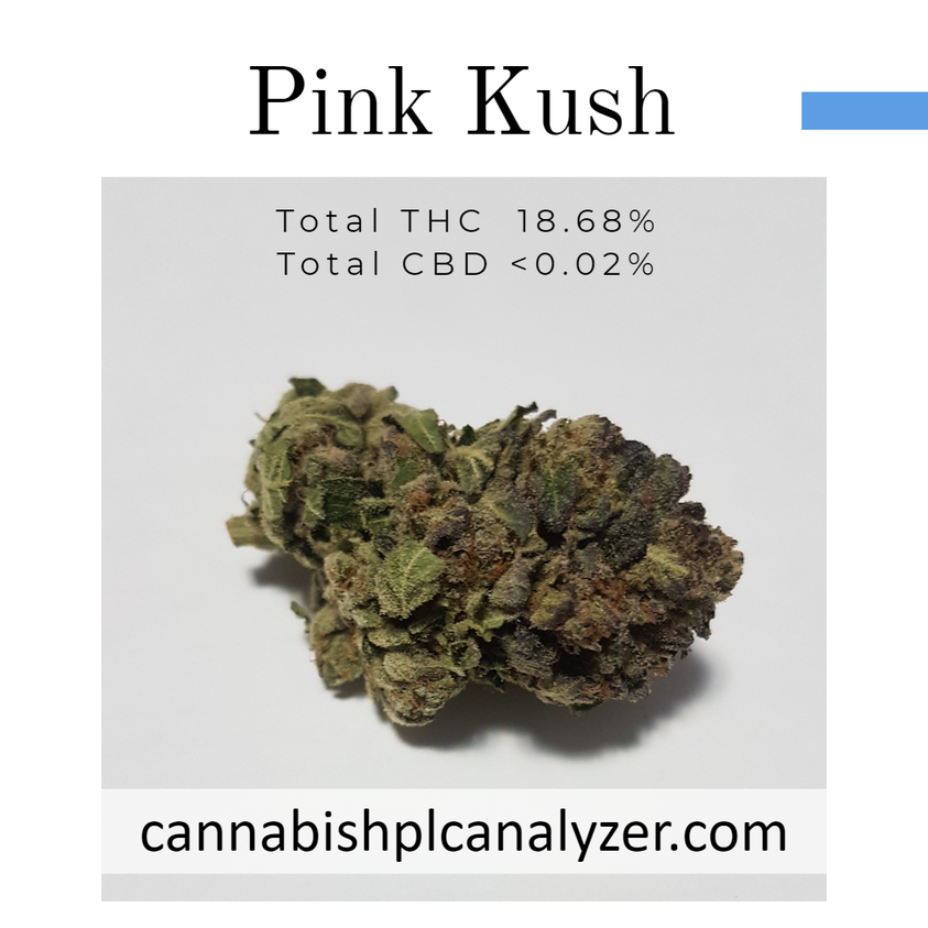 Pink Kush Strain
Highest Measured Values
Total THC 18.68%
Total CBD <0.02%
Total CBG 0.08%
#cannabinoids #cannabinoid #cannabisusa #cannabis #canna #cannabismichigan #cannabiscalifornia