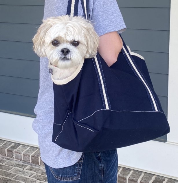 JamesLeMom's tweet photo. @PubliclyBuzzed Our cat escaped, caught a chipmunk and ran back inside with it. My first instinct was to pick up my dog 😂😂 #dontmesswithMESSI https://t.co/mgcJ8gOjiX