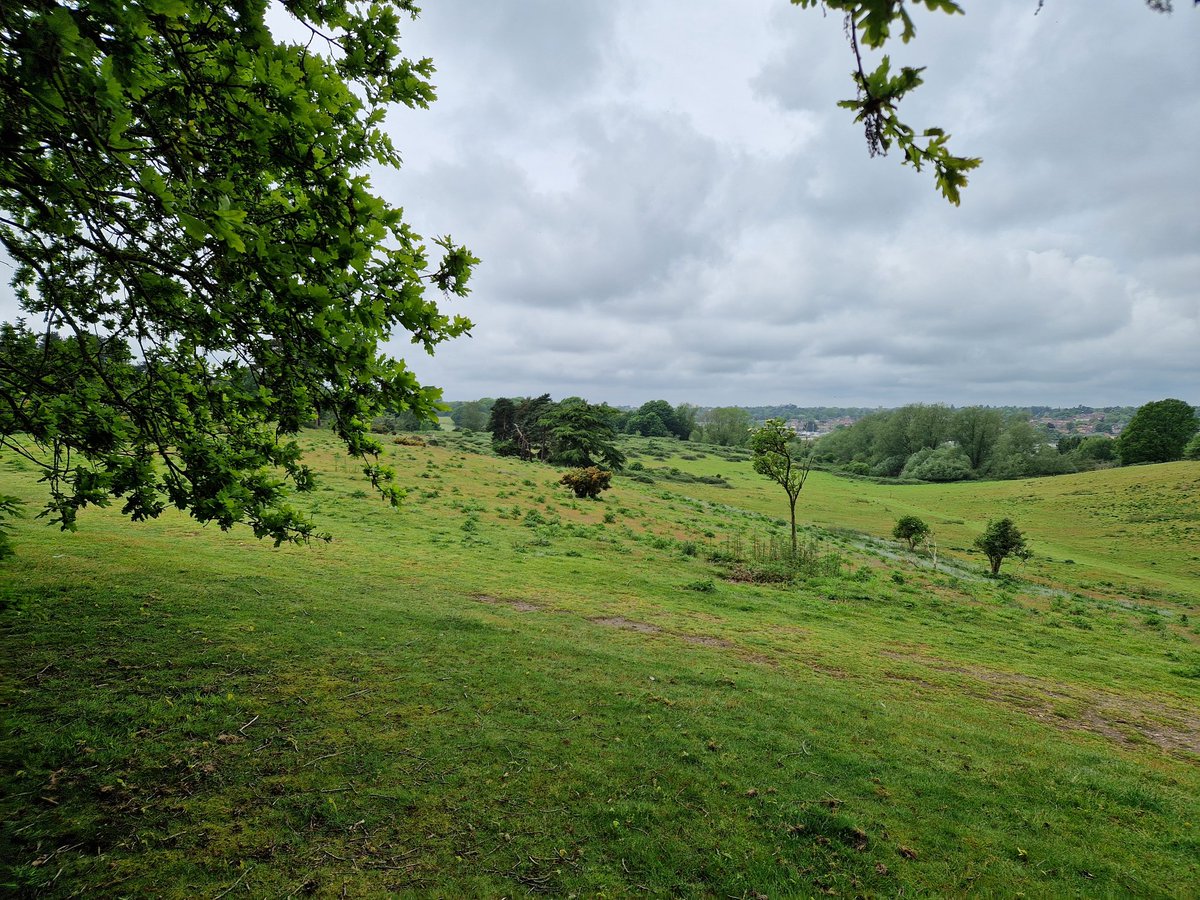 Had a lovely day visiting @nationaltrust @NT_SuttonHoo Always wanted to visit, now I have done do! Youshould do likewise, you won't be disappointed.