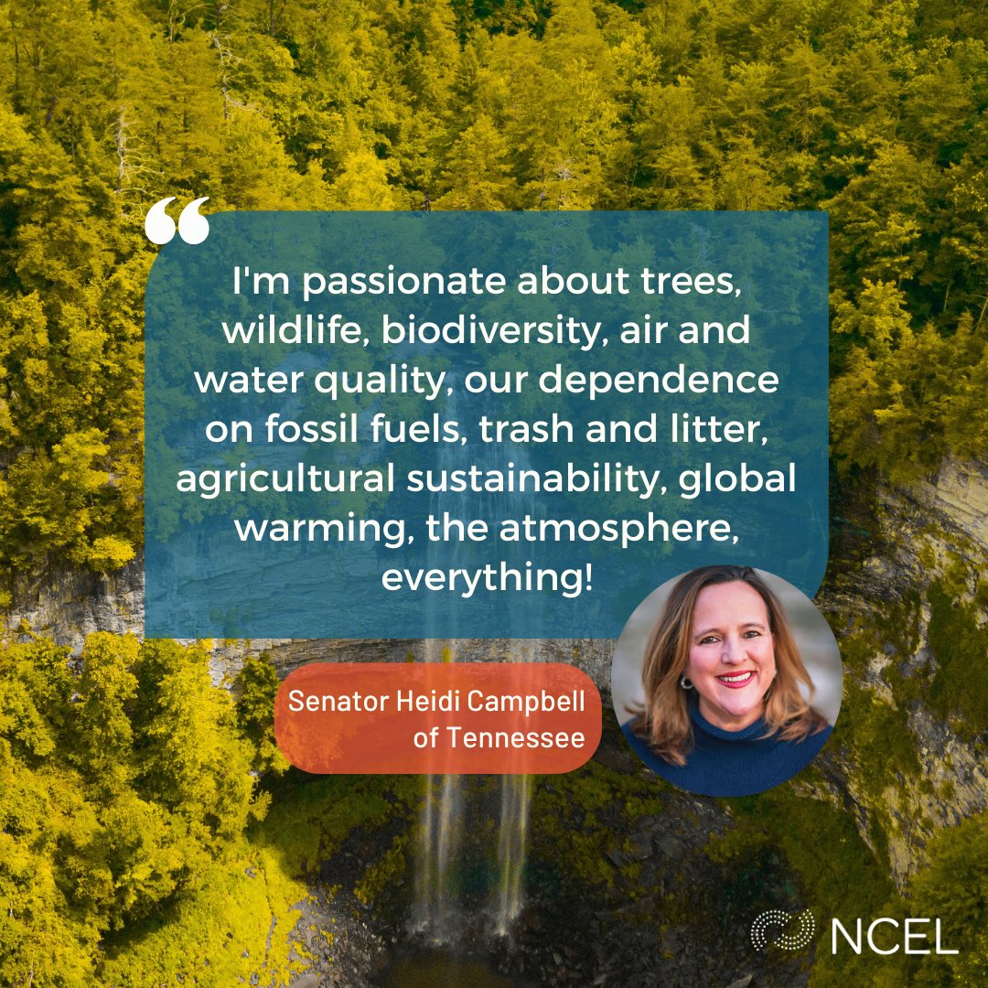 'I'm passionate about trees, wildlife, biodiversity, air and water quality, our dependence on fossil fuels, trash and litter, agricultural sustainability, global warming, the atmosphere, everything!' Learn more about Tennessee #StateLead @Campbell4TN: ow.ly/8R4U50RHw4h