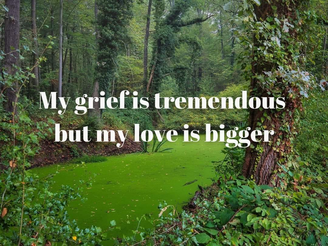 🥰 https://t.co/pbLlsvD58a