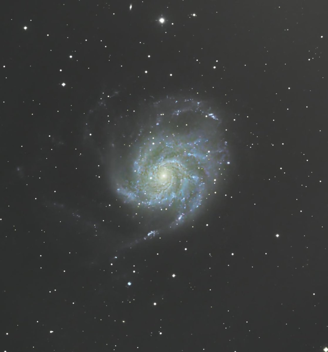 M101 Pinwheel Galaxy [by Wooden_Ad7858]
  
 #astrophotography #astronomy