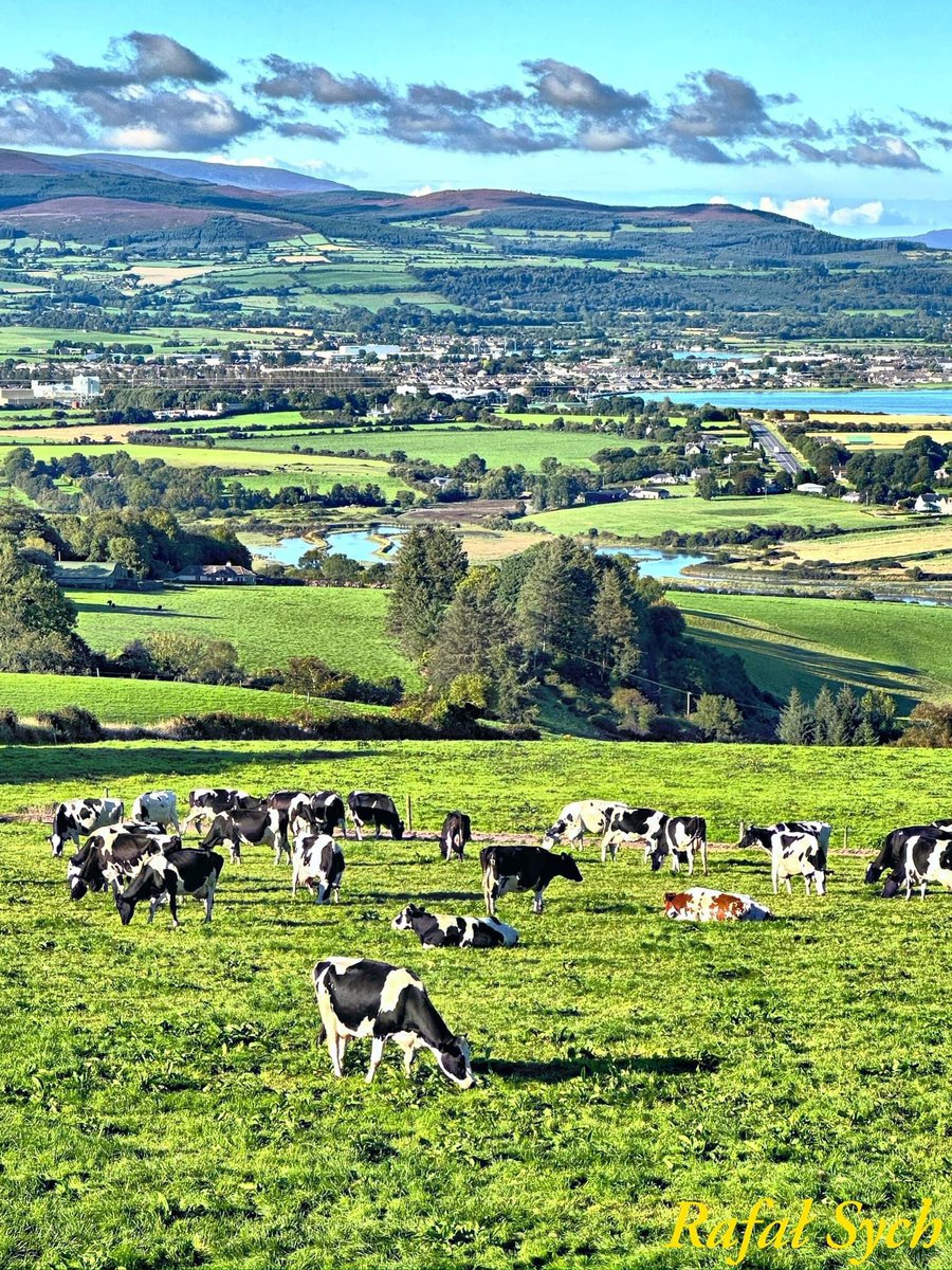 No wonder the English wanted our beautiful nation to herself and had selfish aims….look at that natural and fertile glory! 🇮🇪

Dungarvan,County Waterford.