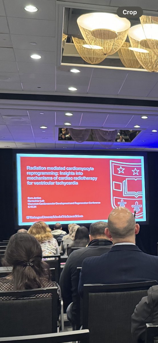 RentschlerLab's tweet image. Congratulations to Sam Jordan, a Sarnoff fellow in my lab, for delivering a fantastic talk at the Weinstein Cardiovascular Development conference in Montreal!