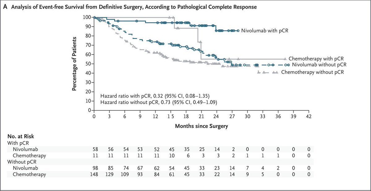 CM77T @NEJM by Drs. Cascone @MARIANOPROVENCI Perioperative (chemo-nivo followed by adjuvant nivo) vs. neoadj chemo alone. Key image below, early days but new landmark analysis shows potential benefit from the adjuvant component for pts who have definitive surgery? #lcsm @IASLC