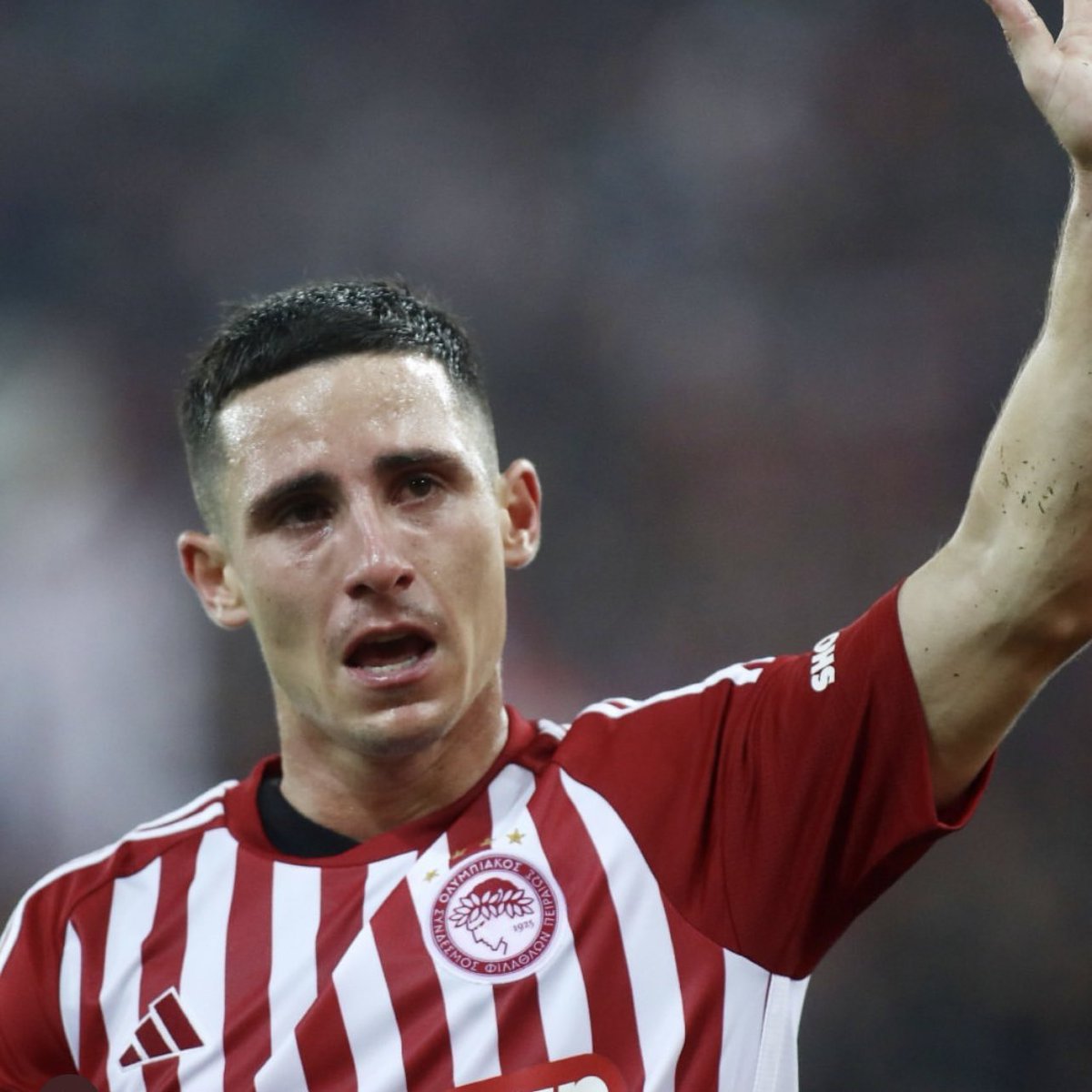 Talking Wolves tweet media