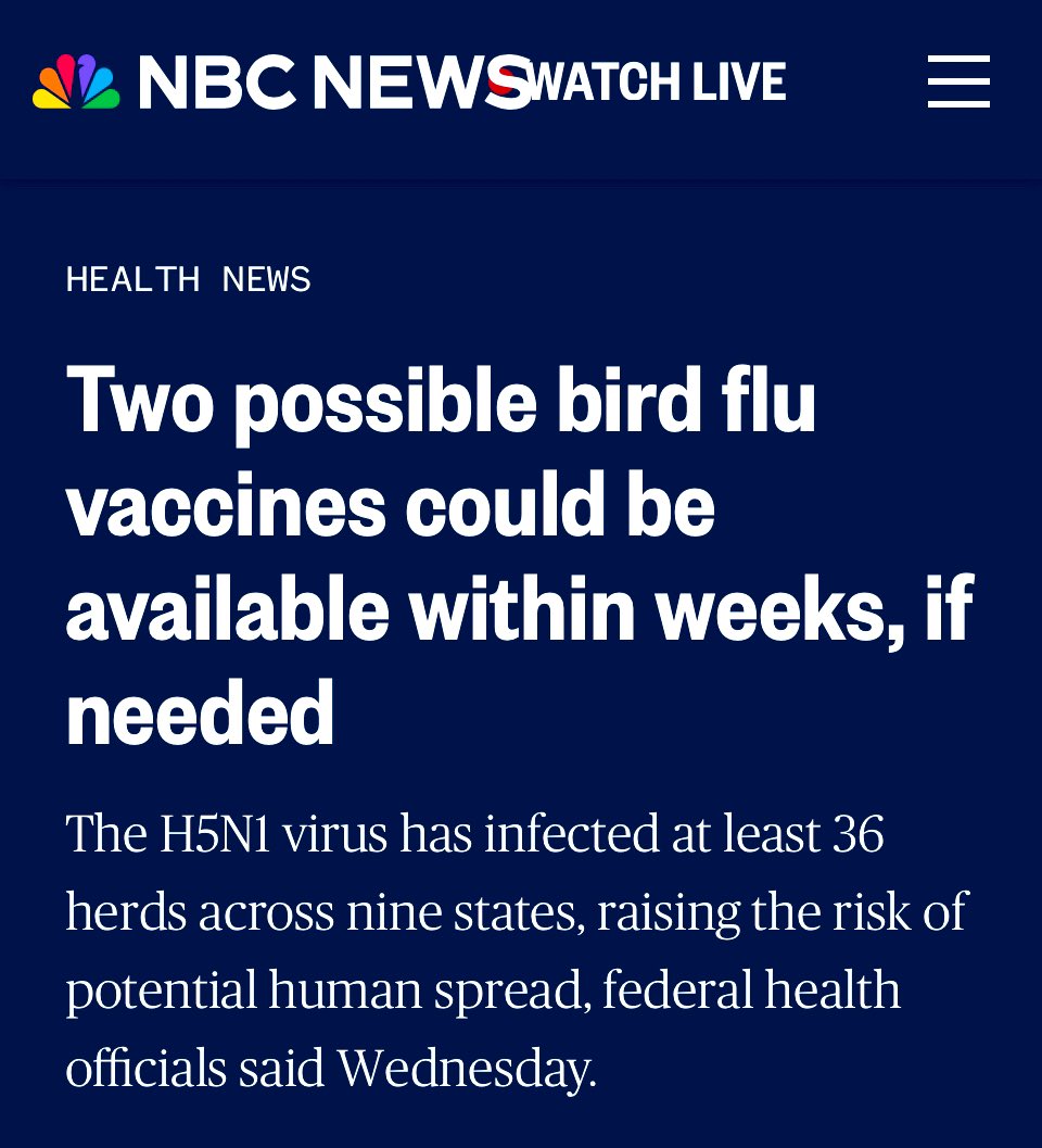 Liz Churchill tweet media