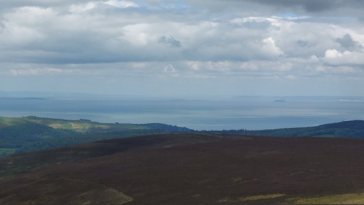 Dave Robinson tweet media