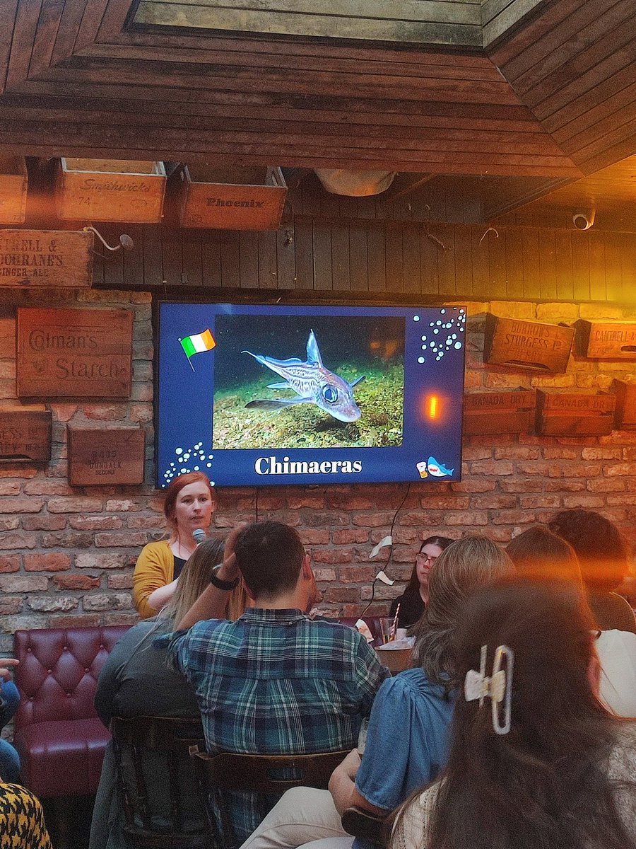 Some brilliant talks from colleagues in the @MarineInst for @pintofscienceIE event in #Galway Highlights for me were ships, sharks and sneaky waves #pint24