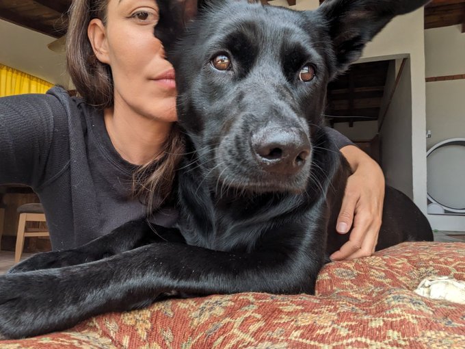 2 beasts https://t.co/4vE0SdzNlb