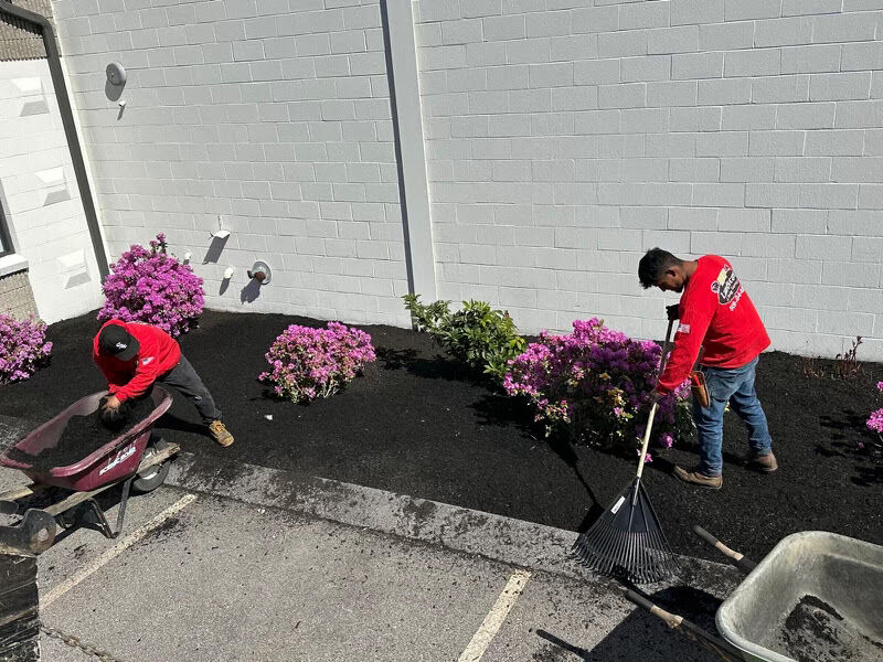 Our dedicated crew is hard at work planting beautiful flowers to transform your outdoor spaces into vibrant, colorful paradises. 

Whether you're dreaming of a stunning spring garden or a lush summer landscape!

Ready to bring your garden to life? Contact us today !📞🏡