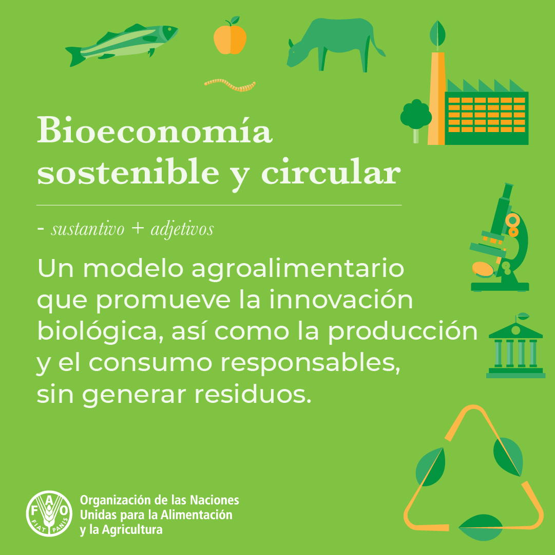 La bioeconomía circular sostenible tiene un gran potencial para ayudar a combatir la #CrisisClimática y transformar nuestros #SistemasAgroalimentarios 🌎

#MejorProducción