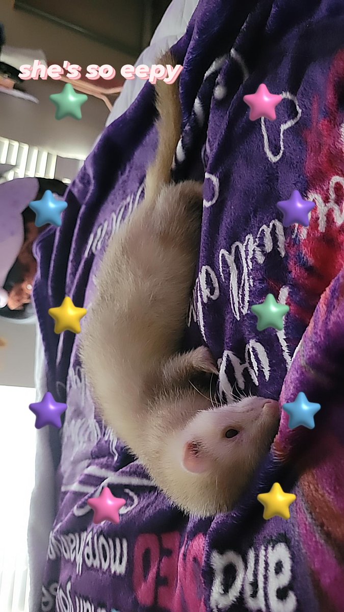 chat, give me some road trip track recommendations (ferret for attention)