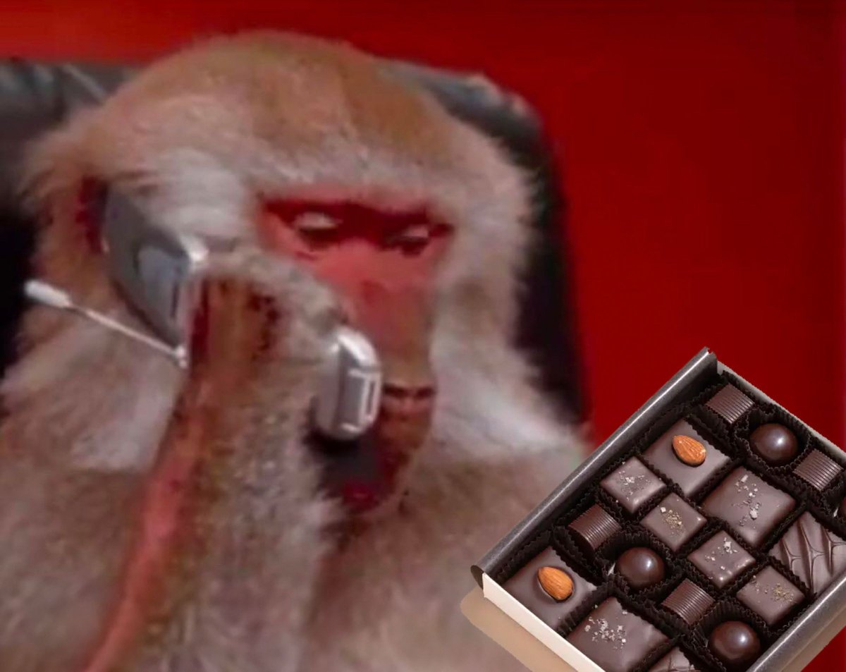 Calling mom to see if I can eat the fancy chocolate at home