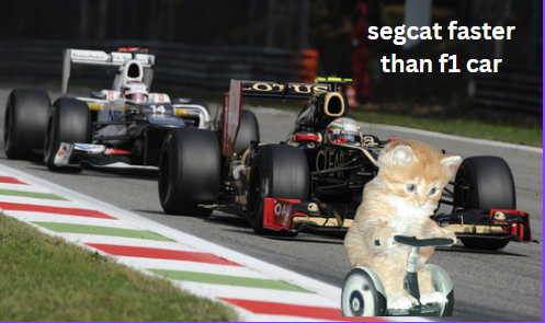 segcatsol's tweet photo. Segcat in F1 https://t.co/RP3kfTKIUe
