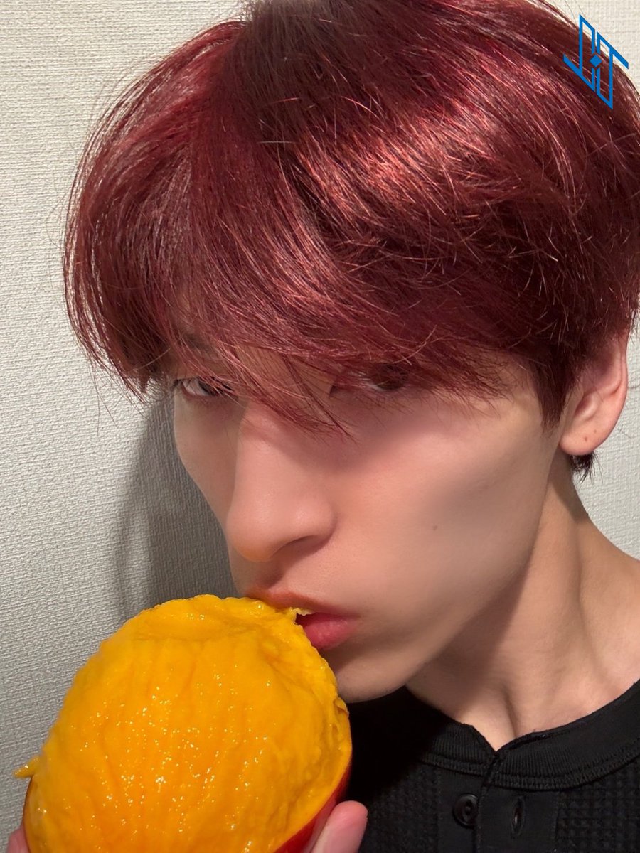 <a href="/selfolconvo/">🍃</a>