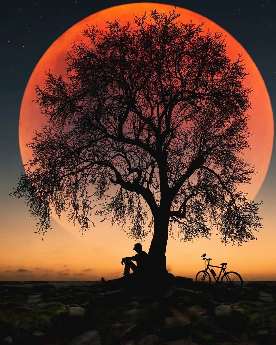 willyventura's tweet image. Muy buenas noches 😴💤 
#Buenasnoches #TwitteOff