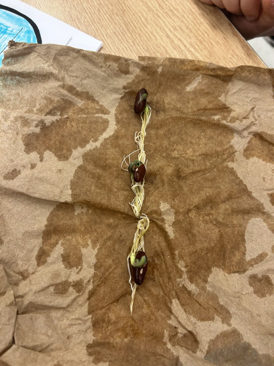 Kaitlin Dosman tweet media