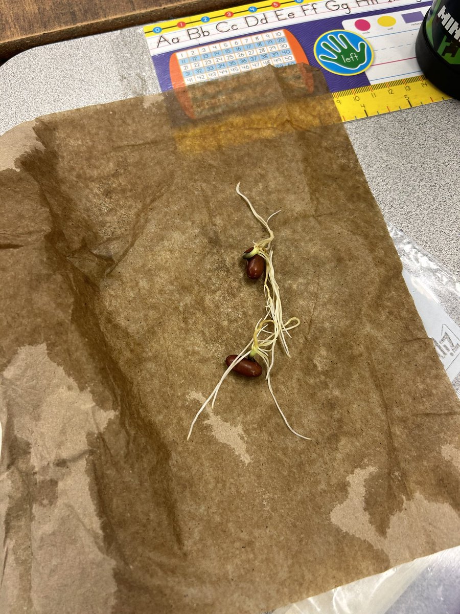 Kaitlin Dosman tweet media