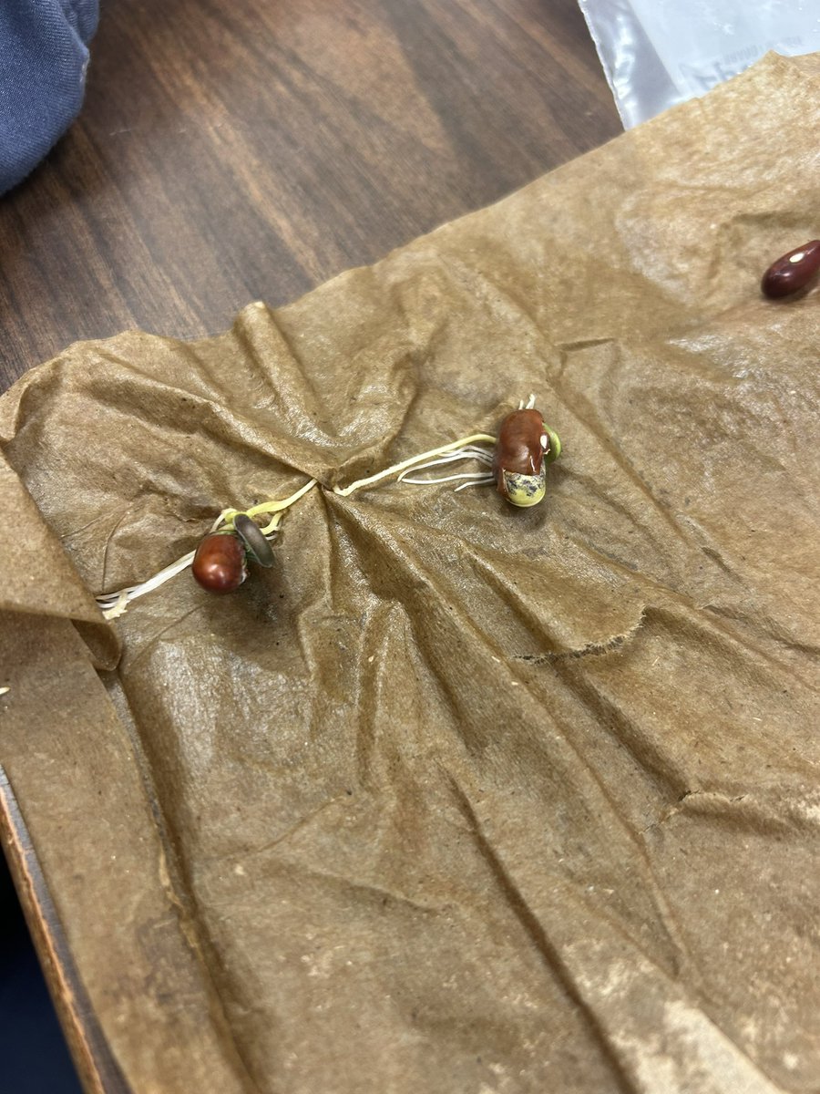 Kaitlin Dosman tweet media