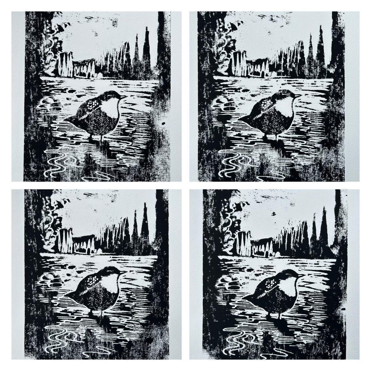 I’ve made 15 Dipper woodcut prints. Available now on the website: jimmoir.com