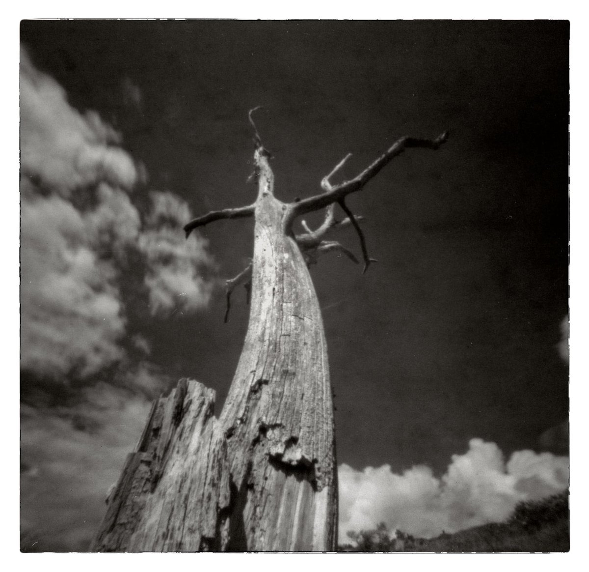 I took this photo for World Pinhole Day 2023 but only got around to developing film a couple of days ago :-(  . Long expired orwo np22 with zero image 200 pinhole camera #filmphotography