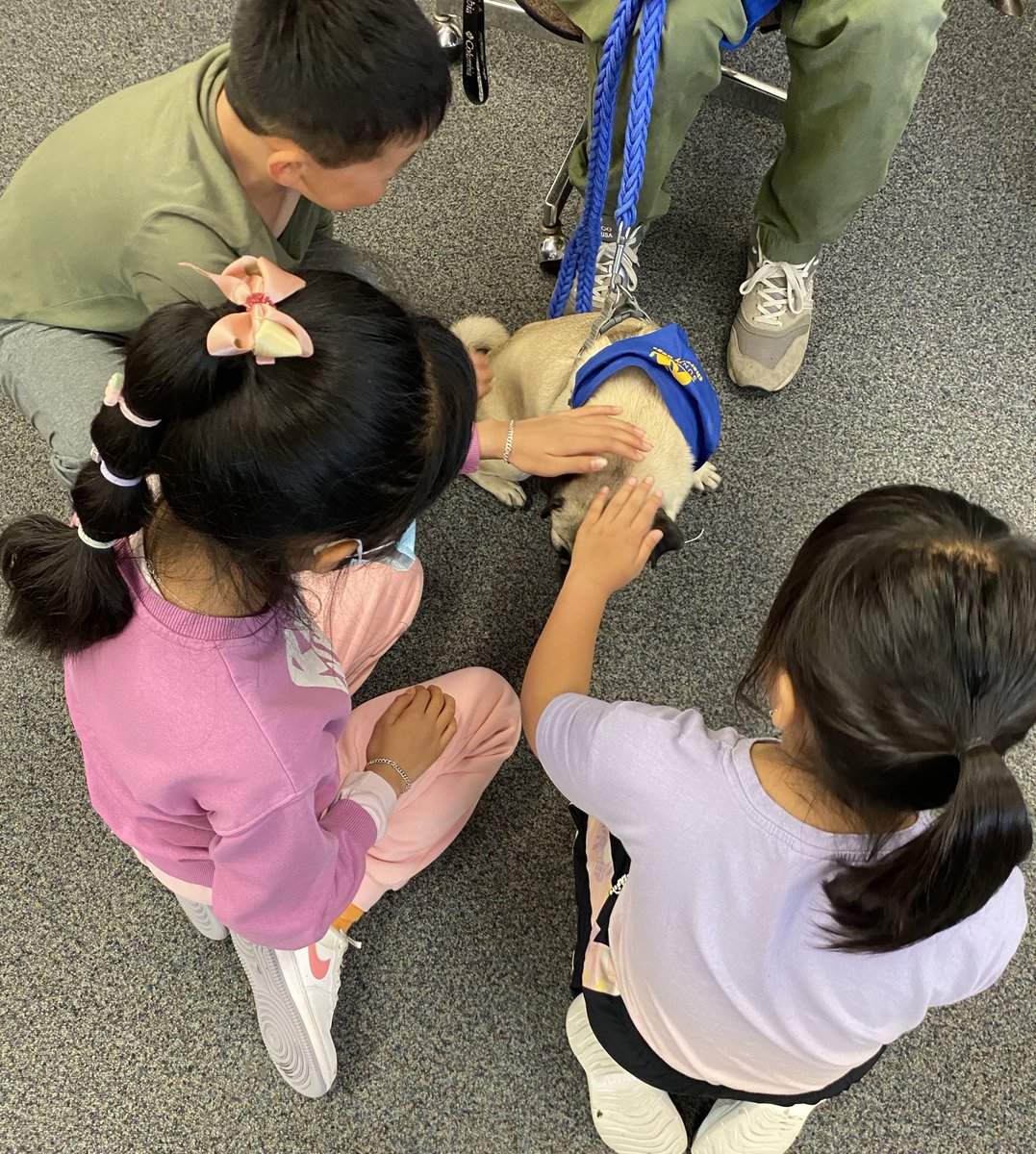 We had such a fun time meeting Simba and Tico this morning from Sunshine Therapy Dogs TO!