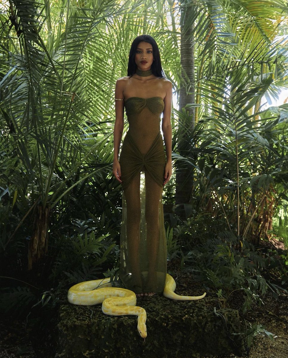 wolfiefendi's tweet image. Mirror Palais jungle collection