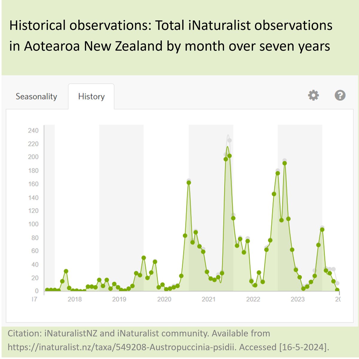 byondMyrtleRust's tweet image. 🔎🌿🟡 April @inaturalistnz report: 33 observations. There were 109 observations in April 2023. We look forward to digging into why this might be in our report of the summer season next month. For now, here’s what iNaturalist observations look like by year and by season.