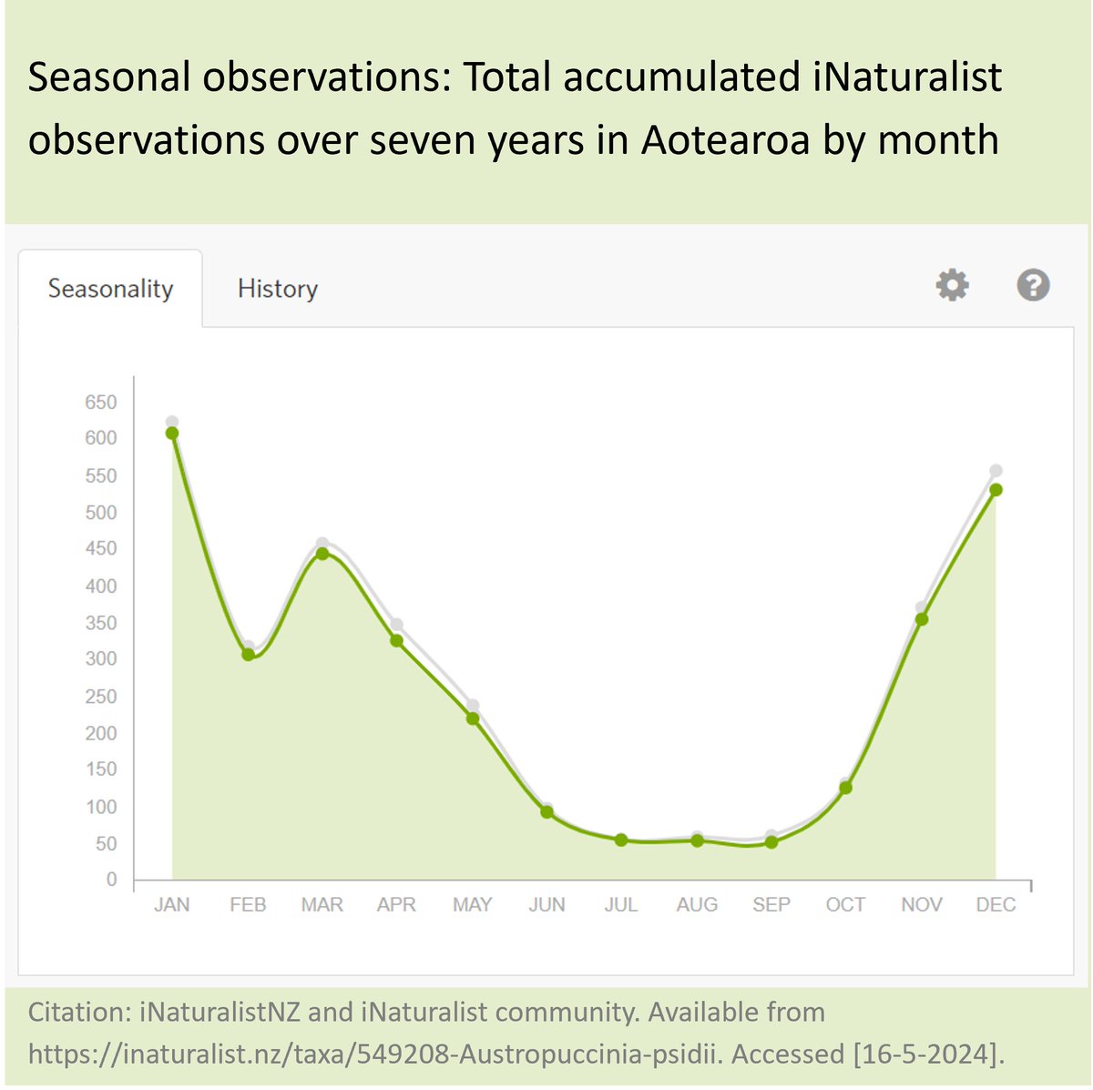 Beyond Myrtle Rust (@byondmyrtlerust) on Twitter photo 🔎🌿🟡 April <a href="/inaturalistnz/">iNaturalist NZ — Mātaki Taiao</a> report: 33 observations. There were 109 observations in April 2023. We look forward to digging into why this might be in our report of the summer season next month. For now, here’s what iNaturalist observations look like by year and by season. 🔎🌿🟡 April <a href="/inaturalistnz/">iNaturalist NZ — Mātaki Taiao</a> report: 33 observations. There were 109 observations in April 2023. We look forward to digging into why this might be in our report of the summer season next month. For now, here’s what iNaturalist observations look like by year and by season.