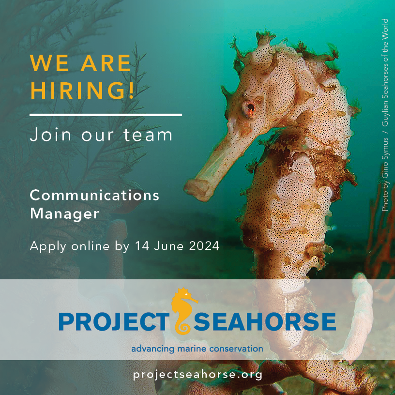 📢 We're seeking a Communications Manager! Join Project Seahorse to lead our communications strategy, create diverse content, and manage projects. Apply at bit.ly/4dzeaCa by the 14 June 2024 #JobOpening #CommunicationsManager #MarineConservation