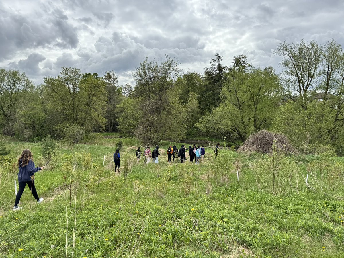 Ss participated in the Native Plants program hosted by <a href="/TRCA_HQ/">Toronto and Region Conservation Authority</a> Ss learned about Native and Invasive plants. Then had an opportunity to take part in the regeneration of their local park.  <a href="/SomersetPS/">Somerset Dr PS</a>