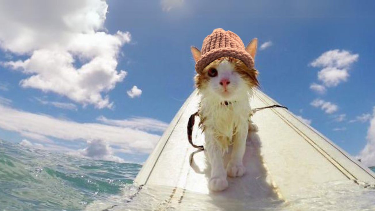 surfcatsol's tweet image. $SURFCAT is now trading live on Raydium 💥
Join the wave and ride to 1B with Kuli!
dexscreener.com/solana/4z8bje8…
CA: 8H2t2FxnCt9VNmt3ReLP7eQhjzMVxb59Bj3BPsF41oqC