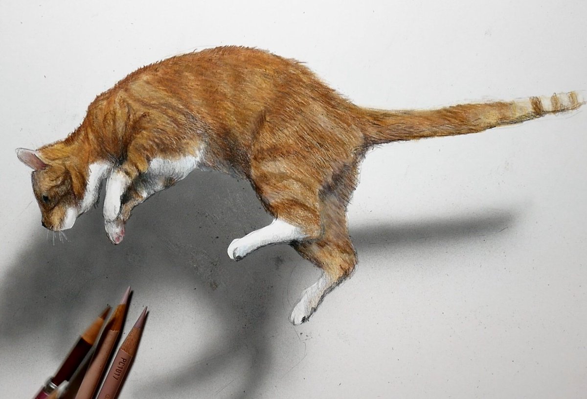 #見た人もなにか無言で猫を貼る
#色鉛筆画