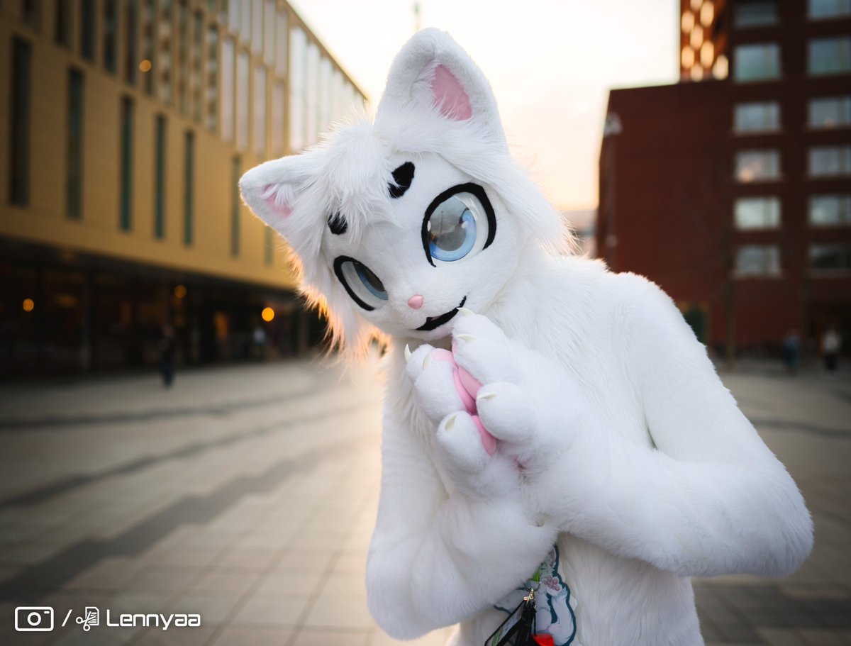 🥺pwease.. can I have your soul and all your belongings. You'll get a hug in exchange, that's a deal right? #nfc2024 #kemonofursuit